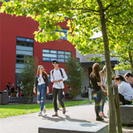 students walking outside of the campus with trees around