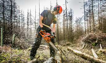 Man using chainsaw in forest