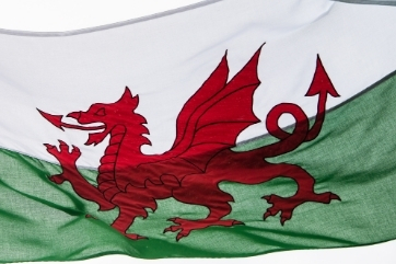 Welsh Language Week - Welsh flag
