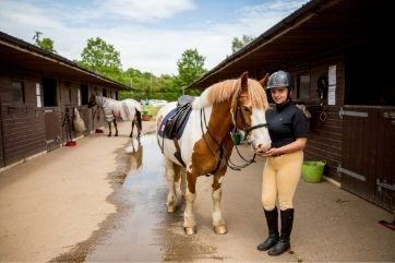 RDA Coleg Gwent equestrian facilities and horses