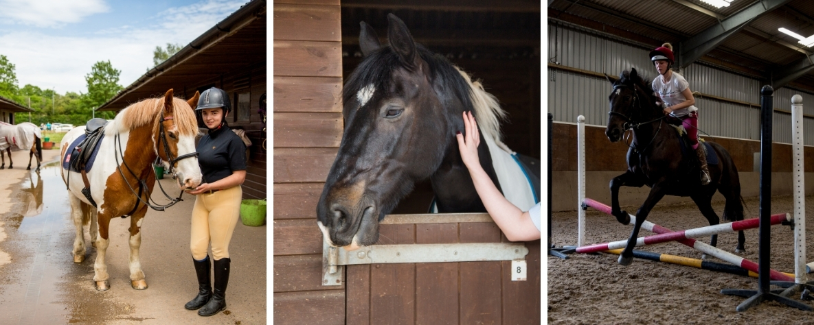 RDA Coleg Gwent equestrian facilities and horses