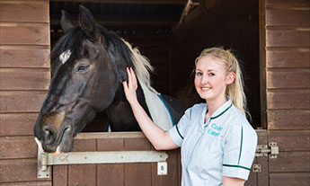 Horse in stable with learner