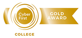 Cyber First gold award