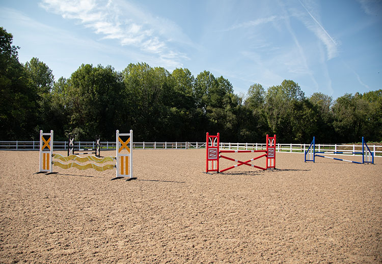 Show jumps