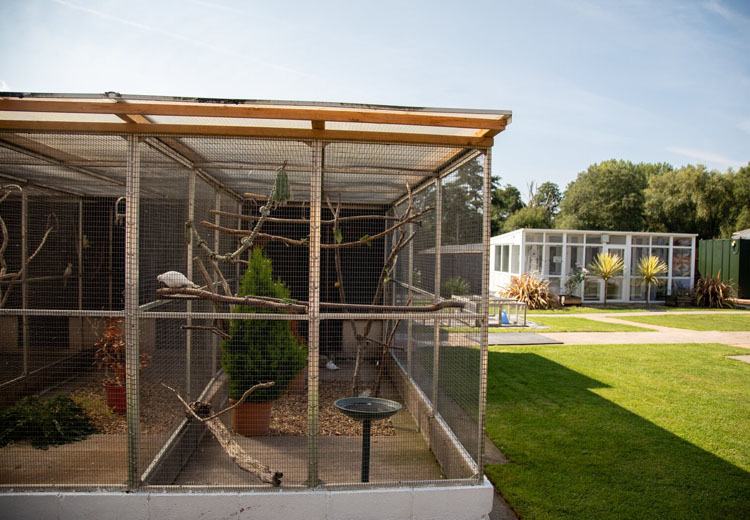 Animal centre enclosures