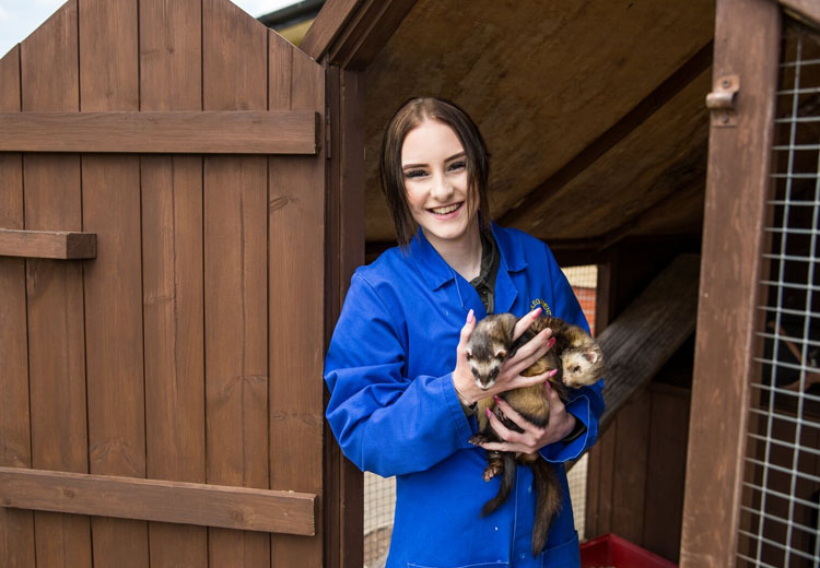 Student holding ferrets