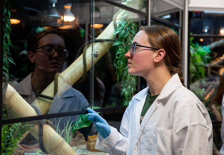 Student in reptile area