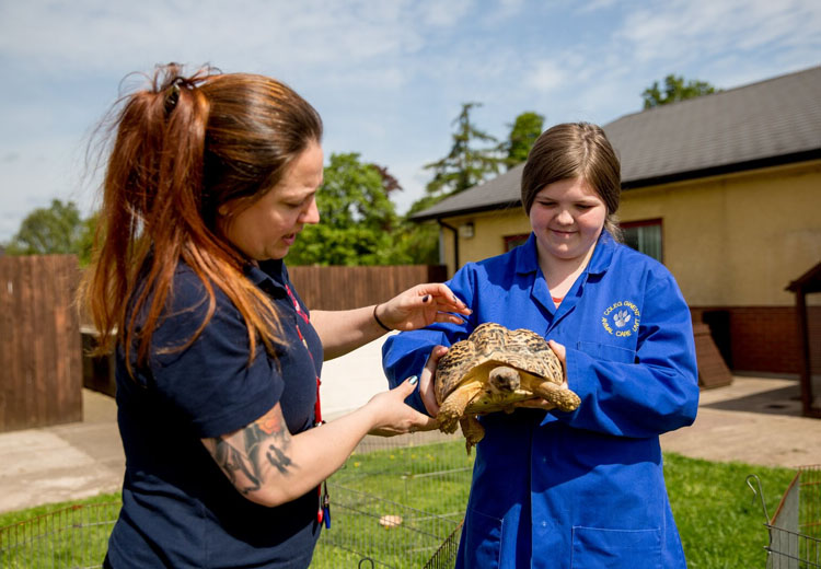 Student handling tortoise