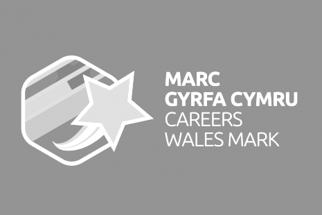 Career Wales Mark