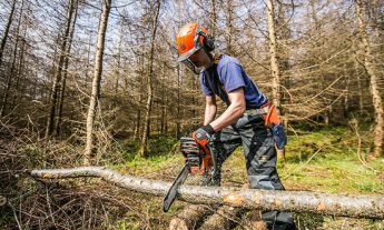 Chainsaw operator