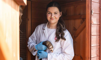 Animal care student