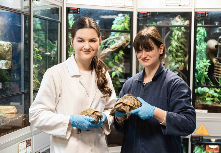 Students with tortoises