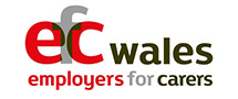 EFC Wales logo