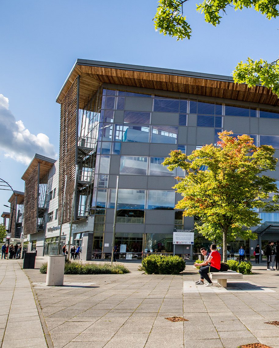 Blaenau Gwent Learning Zone