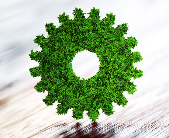 Cog made out of trees