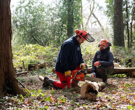 Chainsaw training at Rhadyr Estate