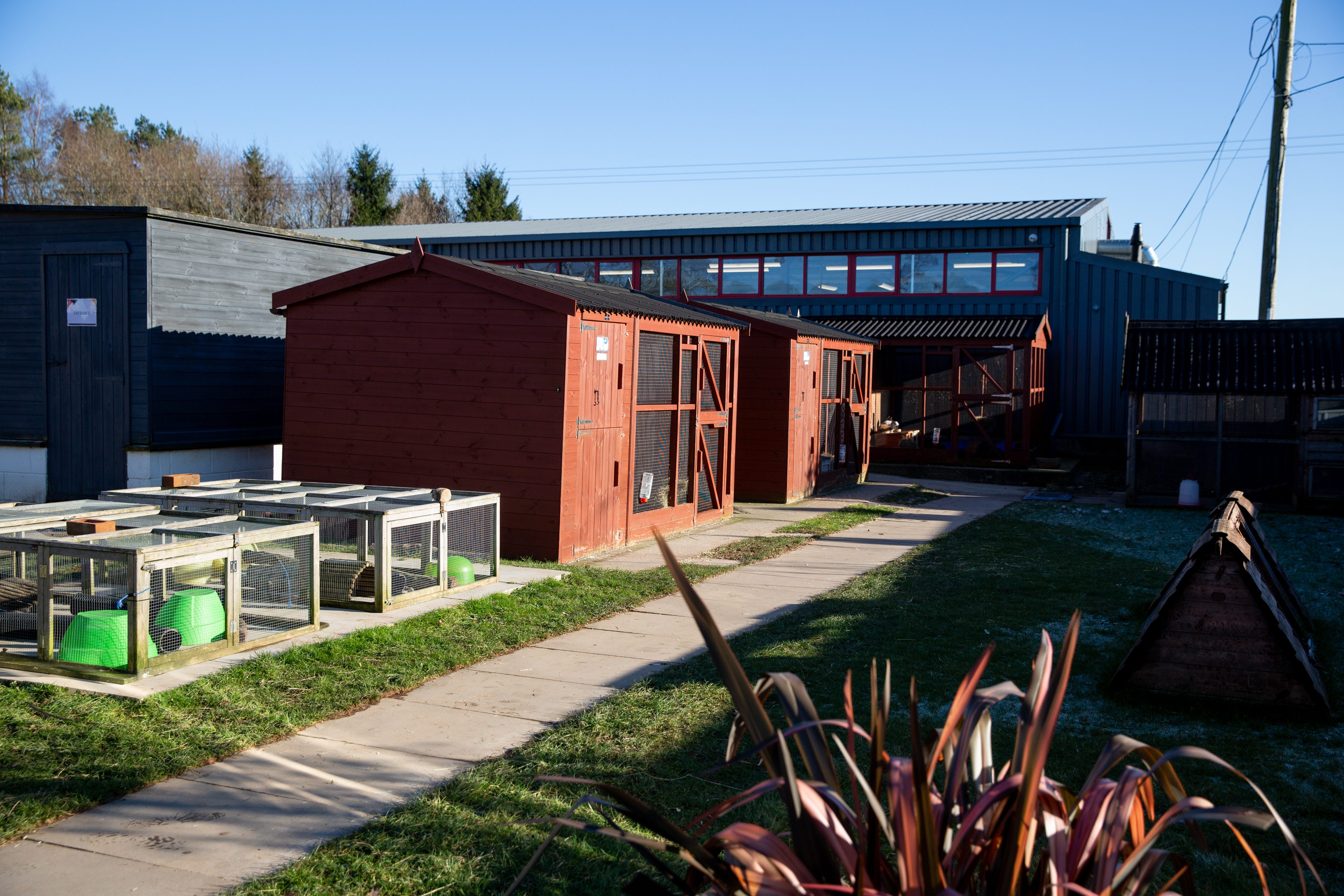 Animal care outdoors hutches