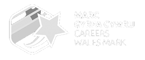 Marc Gyrfa Cymru